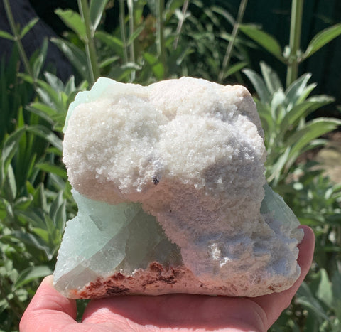 Green Apophyllite with Mordonite Cluster