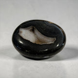 Botswana Agate Palm Stone with Crystal Vug!