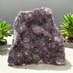 Amethyst (Brazilian) Geode #8