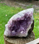 Amethyst #5 (Brazilian) 50% 0ff