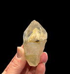 Clear Quartz Point with Chlorite Phantom- Himalayan Quartz #5