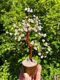 Rose Quartz Chip Tree 17cm tall