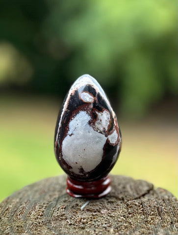 Crystal Egg -Sardonyx #1 -50% Off