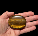Tiger's Eye Palm Stone