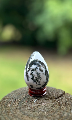 Crystal Egg -Tree Agate #1 -50% Off