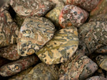 Leopard skin Jasper Tumbled