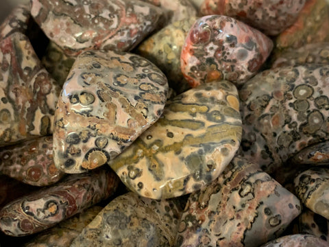 Leopard skin Jasper Tumbled