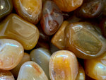 Agate Tumbled