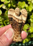 Aragonite Angel